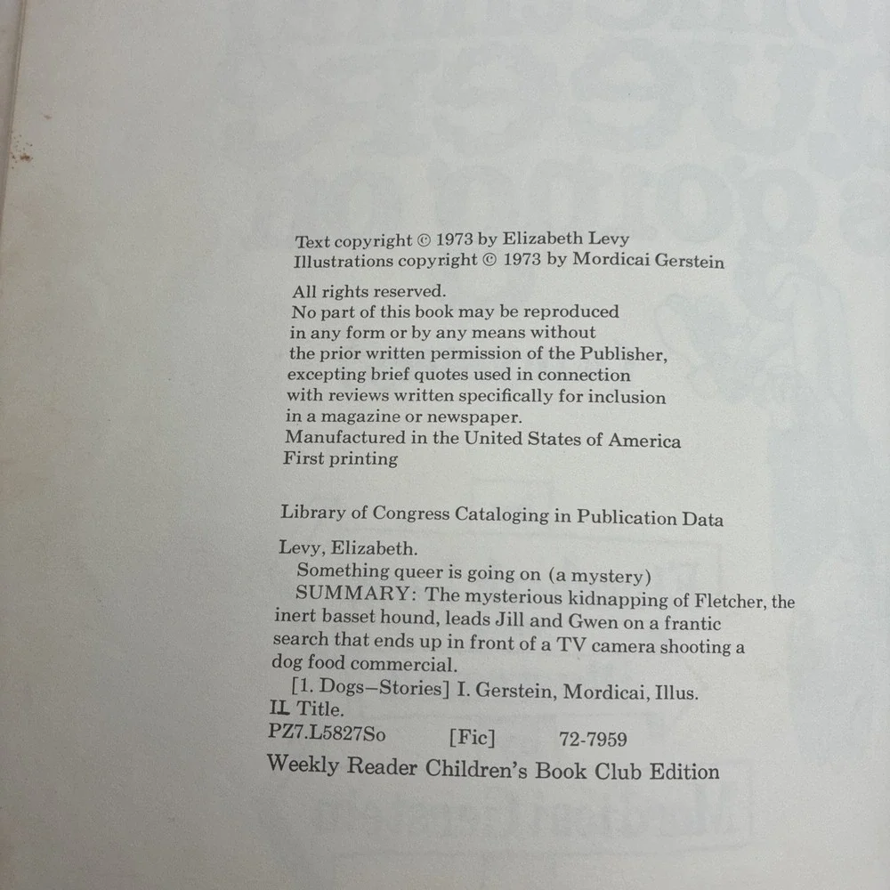 Something Queer Is Going On Elizabeth Levy Mordicai Gerstein 1973 First Printing